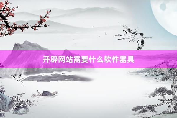 开辟网站需要什么软件器具