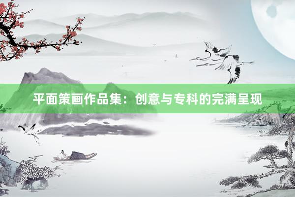 平面策画作品集：创意与专科的完满呈现